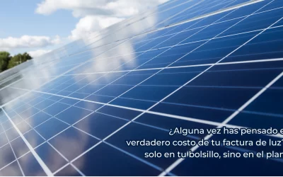 El Futuro Luminoso de la Energía: Paneles Fotovoltaicos